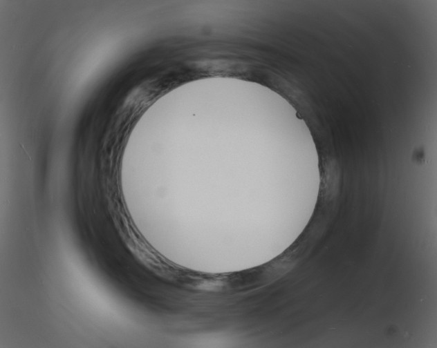 X0000115840430200912242021