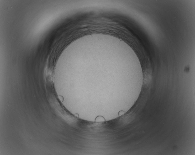 X0000115840431200912242021