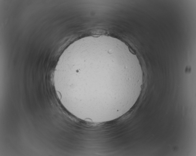 X0000115840432200912242020