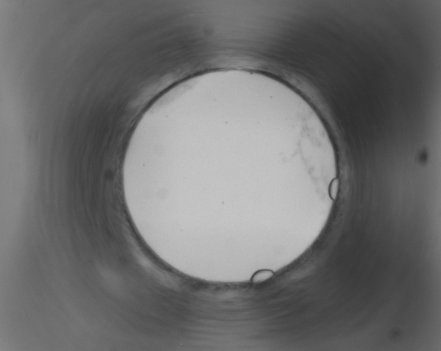 X0000115840433200912242020