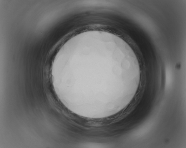 X0000115840435200912242020