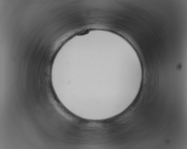 X0000115840437200912242020