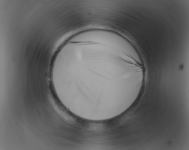 X0000115840438200912242020