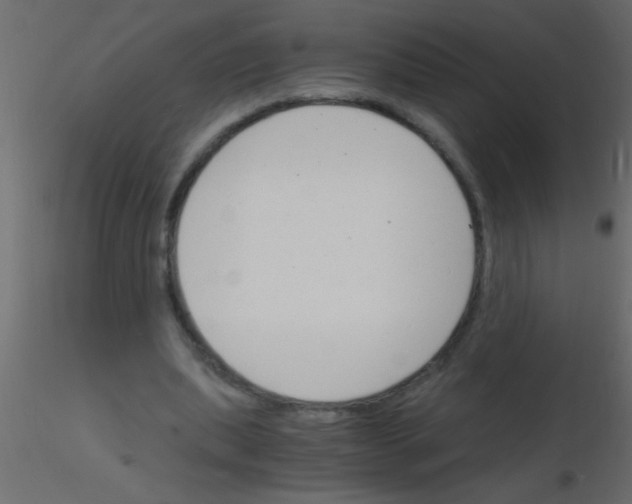 X0000115840439200912242020