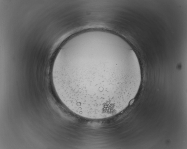 X0000115840440200912242020