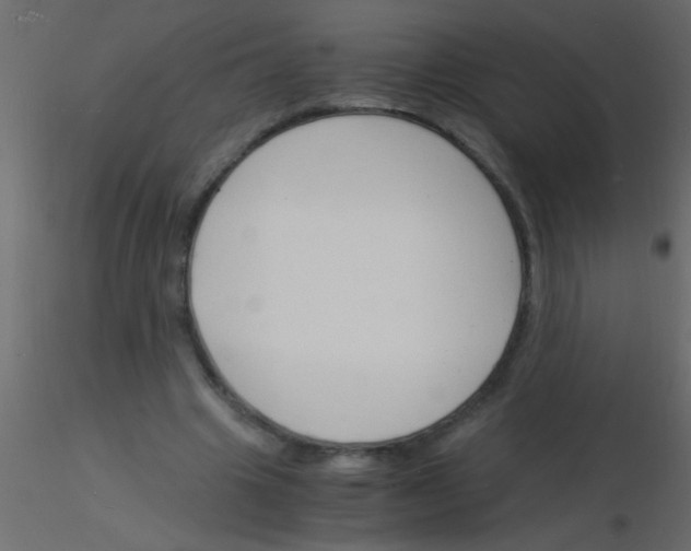 X0000115840441200912242020