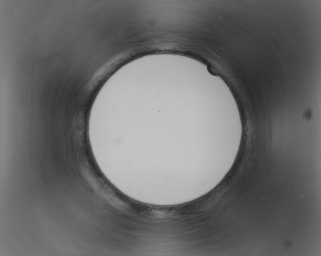 X0000115840442200912242020