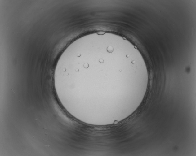 X0000115840445200912242020