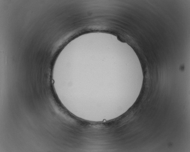 X0000115840446200912242020