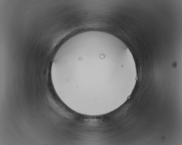 X0000115840448200912242020