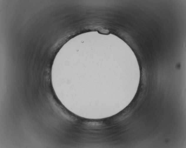 X0000115840449200912242020