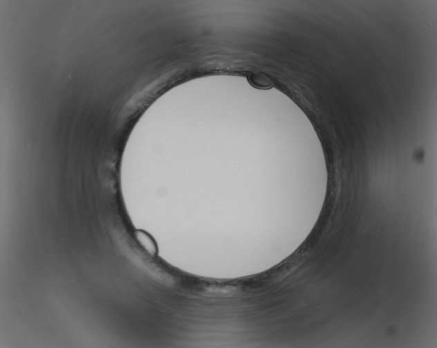 X0000115840450200912242020