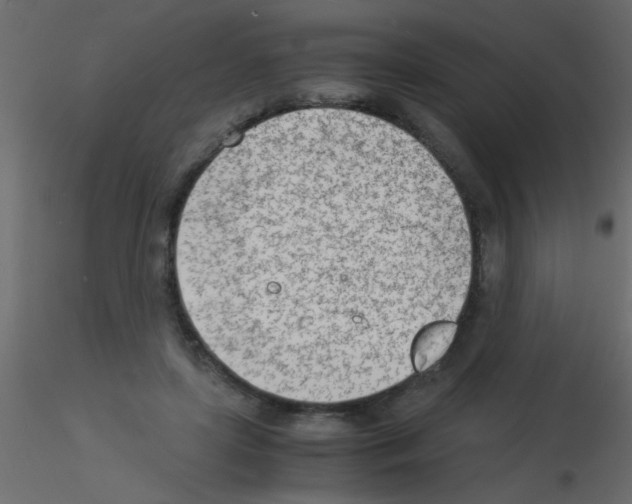 X0000115840451200912242020