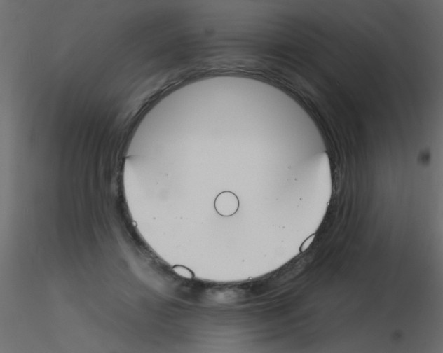 X0000115840452200912242020