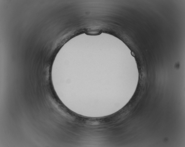 X0000115840454200912242020