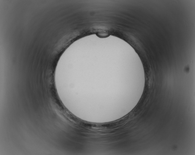 X0000115840455200912242020