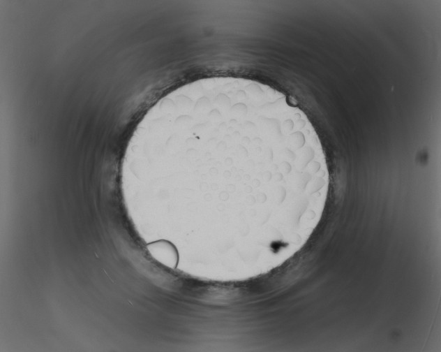 X0000115840458200912242020