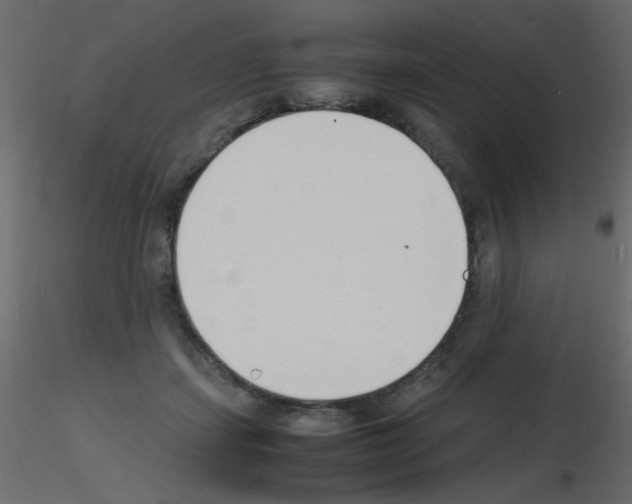 X0000115840459200912242020