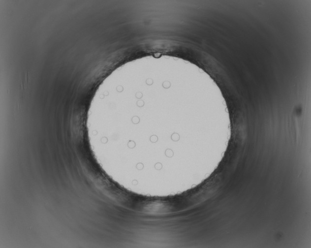 X0000115840460200912242020