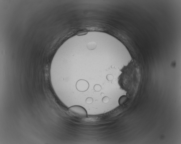 X0000115840461200912242020