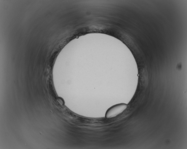 X0000115840463200912242020