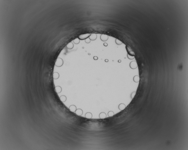 X0000115840464200912242020