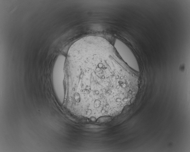 X0000115840467200912242020