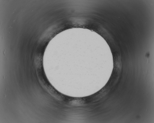 X0000115840468200912242020