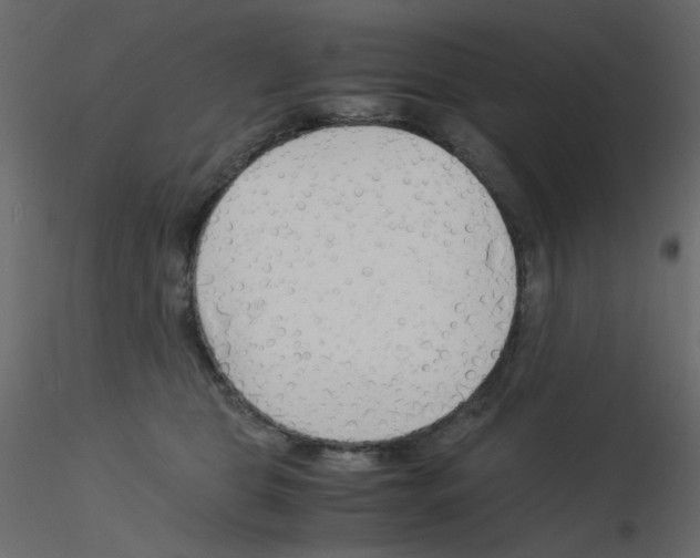 X0000115840469200912242020