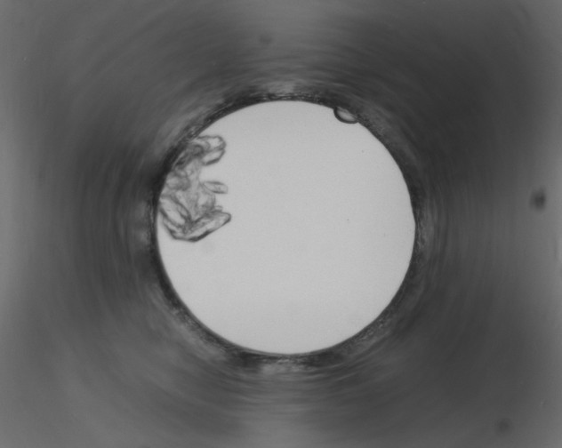 X0000115840470200912242020