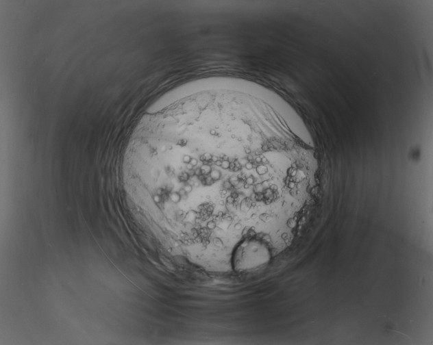 X0000115840471200912242020