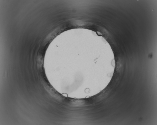 X0000115840476200912242020