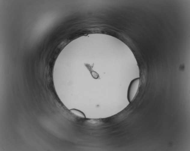 X0000115840477200912242020