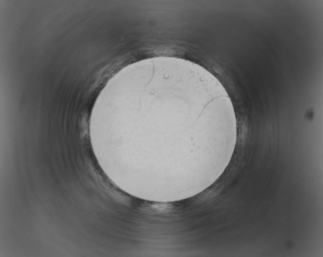 X0000115840478200912242020