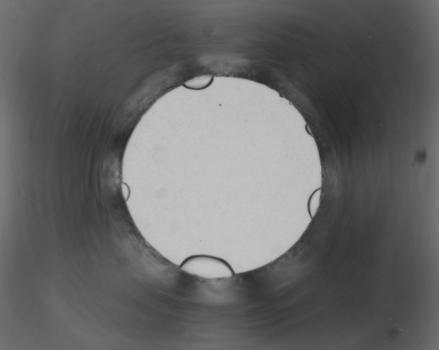 X0000115840479200912242020