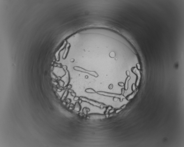 X0000115840481200912242020