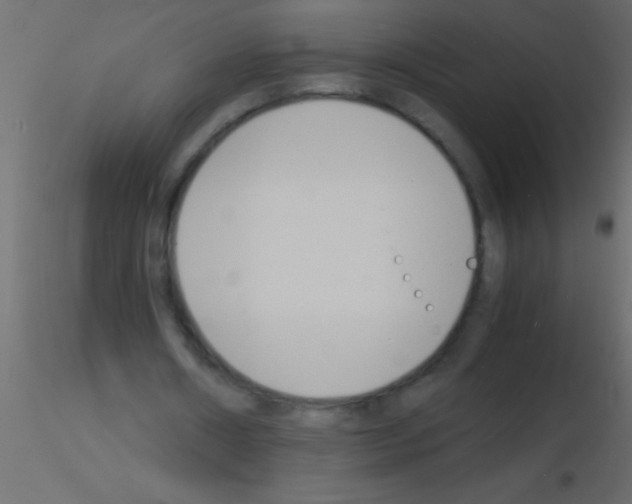 X0000115840482200912242020