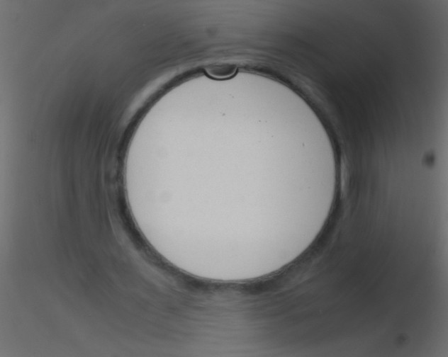 X0000115840483200912242020