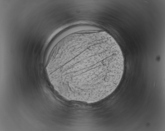 X0000115840484200912242020