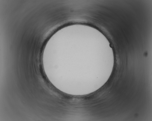 X0000115840487200912242020