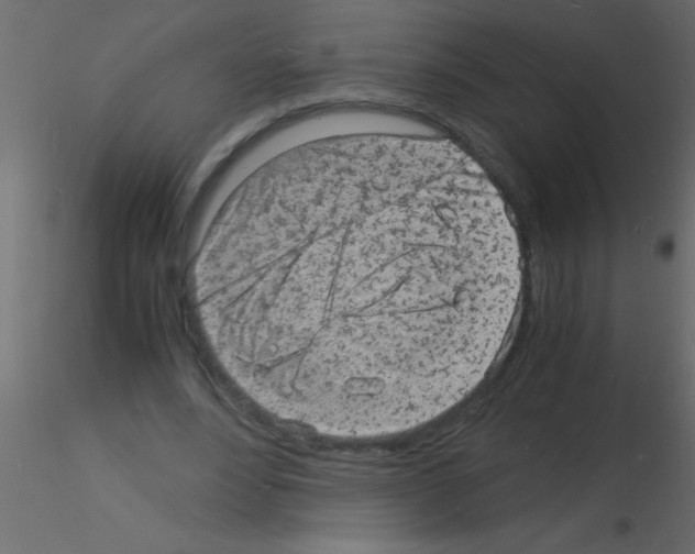 X0000115840488200912242020