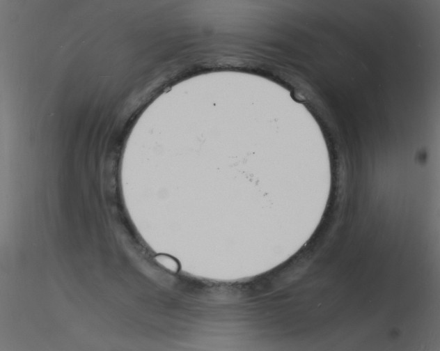 X0000115840489200912242020