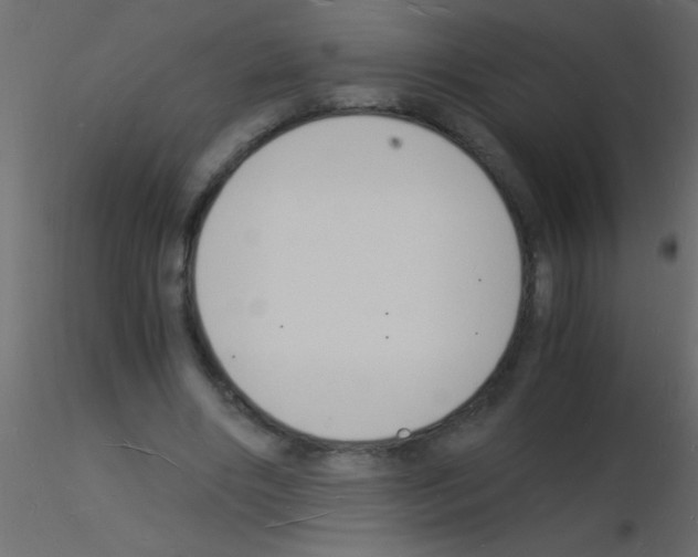 X0000115840490200912242020