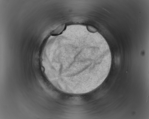 X0000115840492200912242020