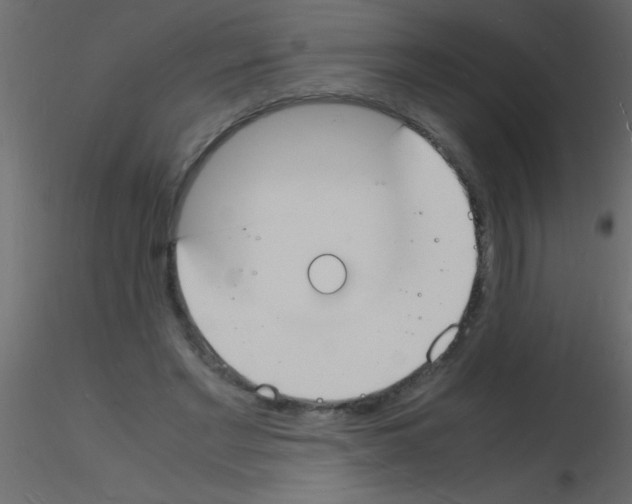 X0000115840493200912242020