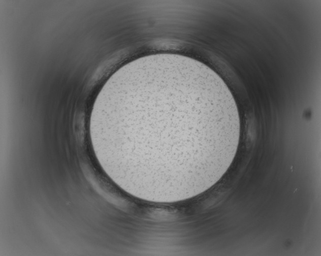 X0000115840494200912242020