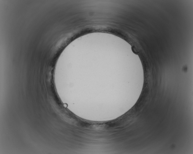 X0000115840495200912242020