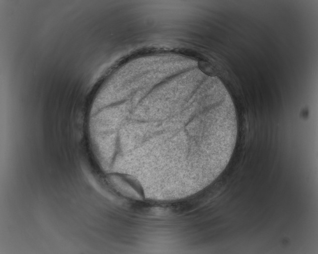 X0000115840496200912242020