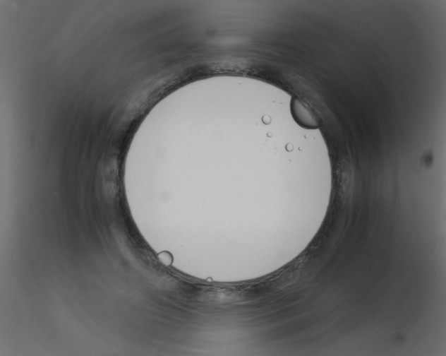 X0000115840498200912242020