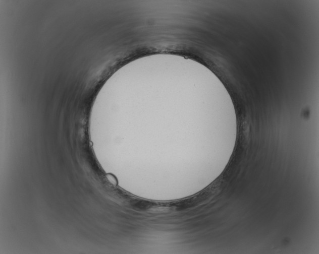 X0000115840499200912242020